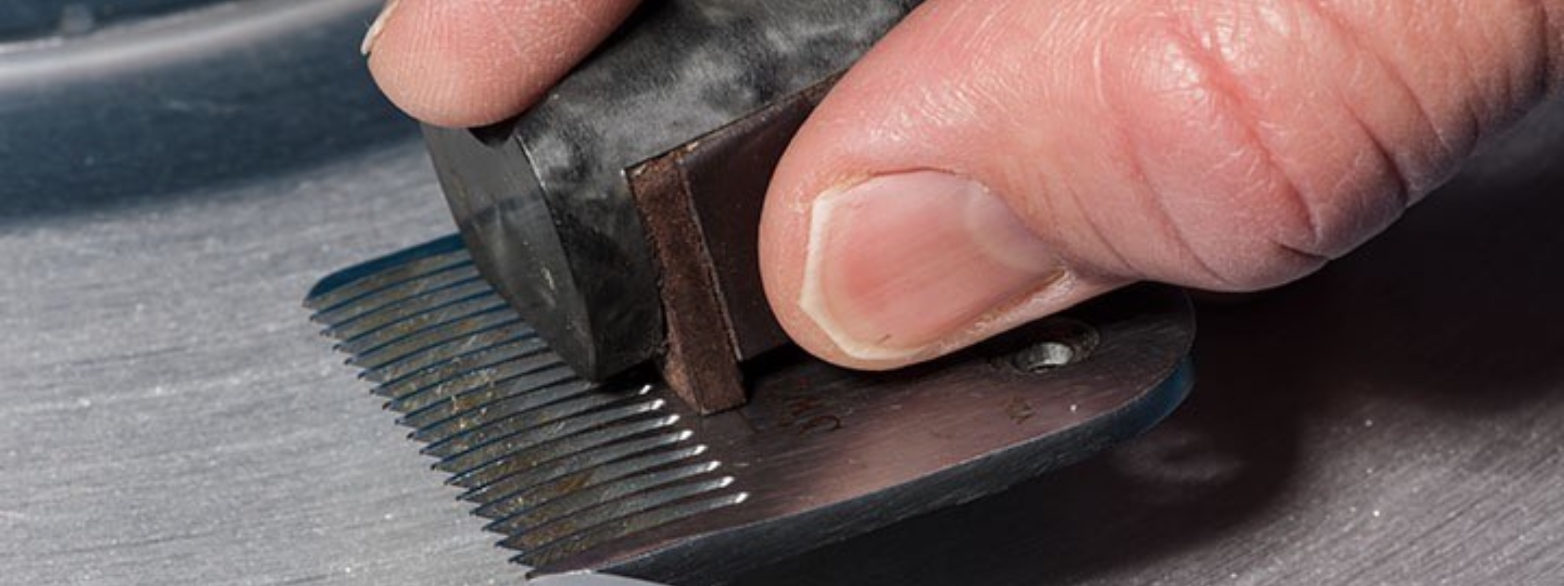 Mastering the Art of Blade Sharpening: Reviving Your Clipper and Trimmer Blades